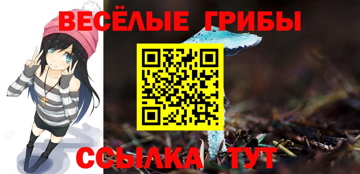 Нальчик  Псилоцибиновые грибы мицелий  Псилоцибиновые грибы Magic Shrooms  Вход с VPN 